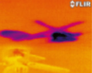 屋根から漏れを示す湿った天井 